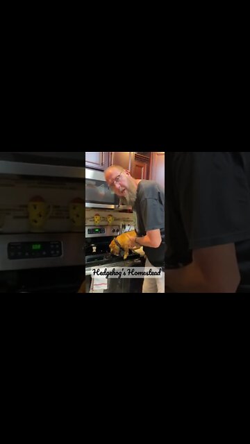 Doing it dachshund style￼