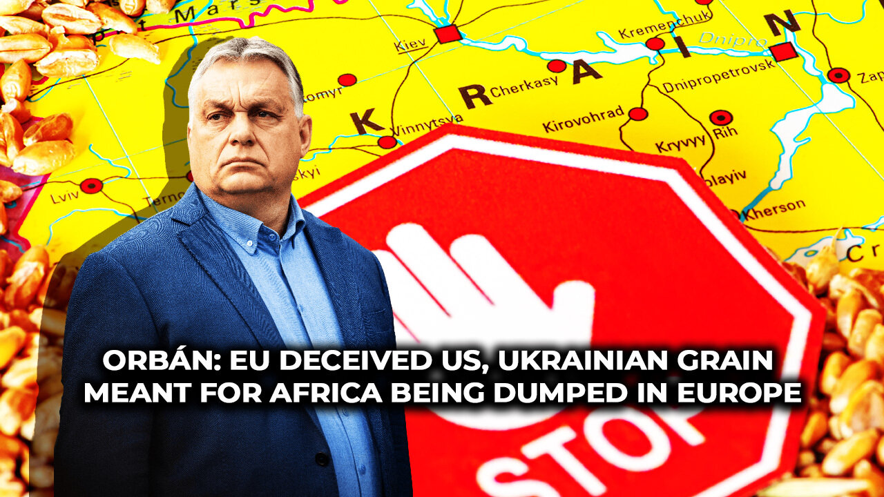 Orbán: EU Deceived Us, Ukrainian Grain Meant For Africa Being Dumped in Europe