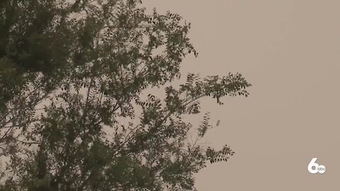 What's in wildfire smoke and how experts say you can protect yourself