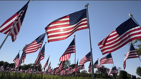 First-of-its-kind "Field of Honor" comes to Niagara Falls