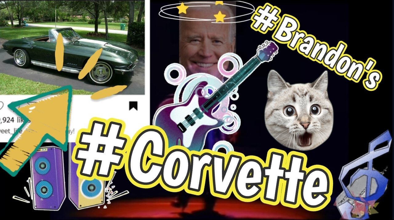 Brandon Almost Lost His Cat & Corvette!