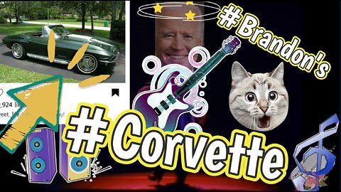 Brandon Almost Lost His Cat & Corvette!