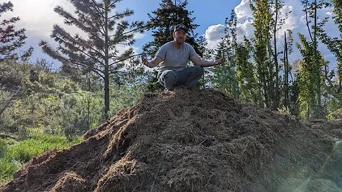 I Finally Cleaned Out My Chicken Coop After 2 Years