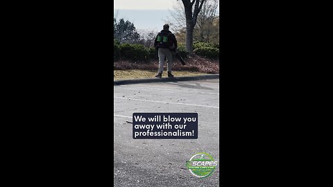 We will blow you away! Let us handle your leaves!