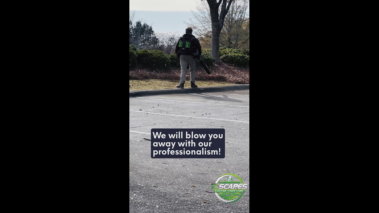We will blow you away! Let us handle your leaves!