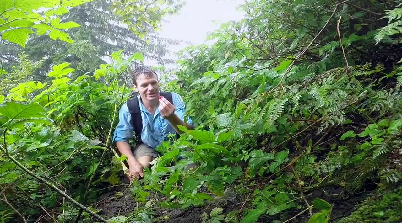 Mount Verstovia and Mount Arrowhead hike near Sitka, Alaska