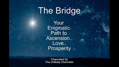 The Bridge - This is not for everyone!