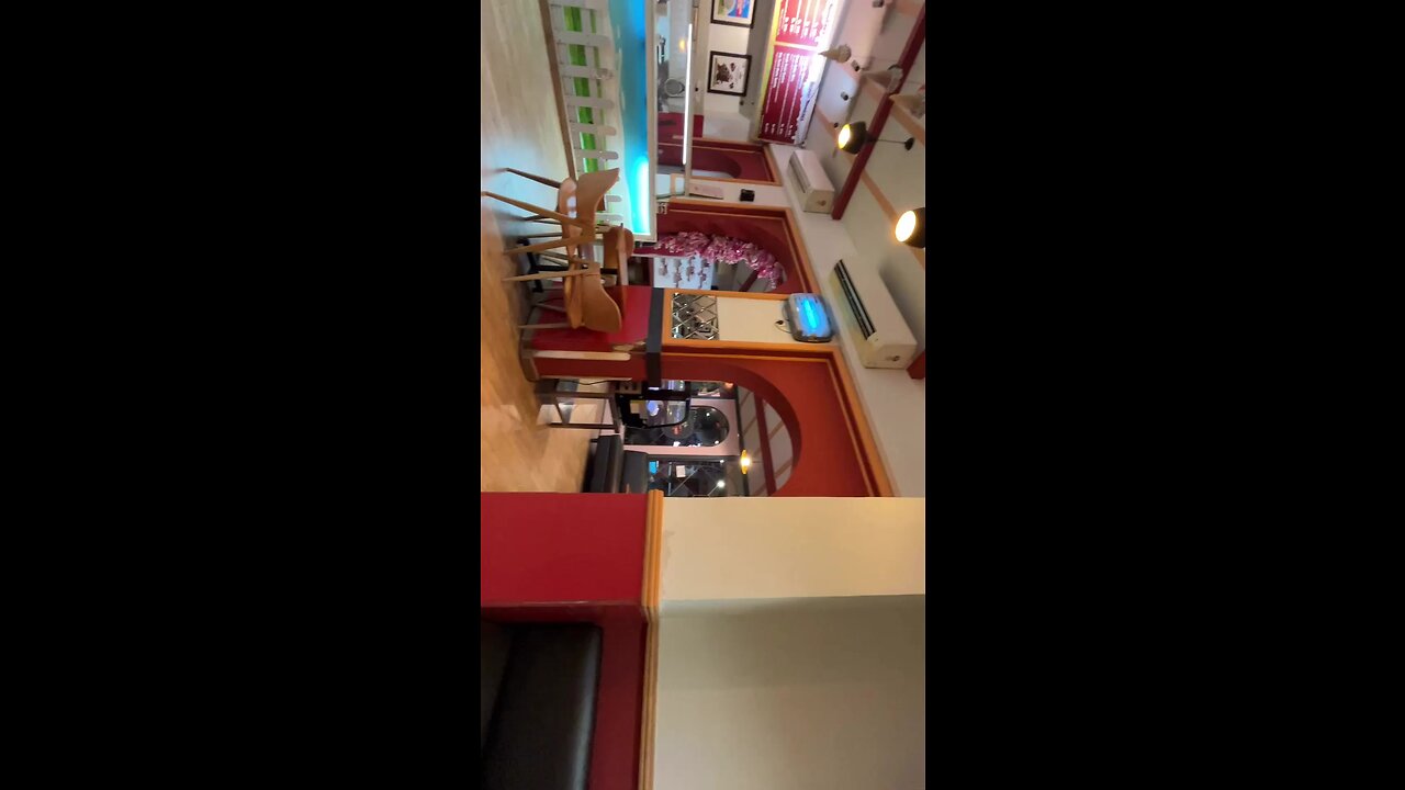 Mollymoo ice cream parlor (best icecream parlor )