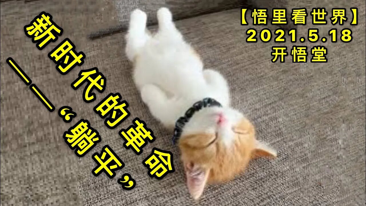 KWT1730新时代的革命-“躺平”20210518-7【悟里看世界】