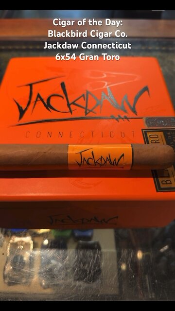 Cigar of the Day: Blackbird Cigar Co. Jackdaw Connecticut 6x54 Gran Toro #Cigars #Short #Cigar #NFL