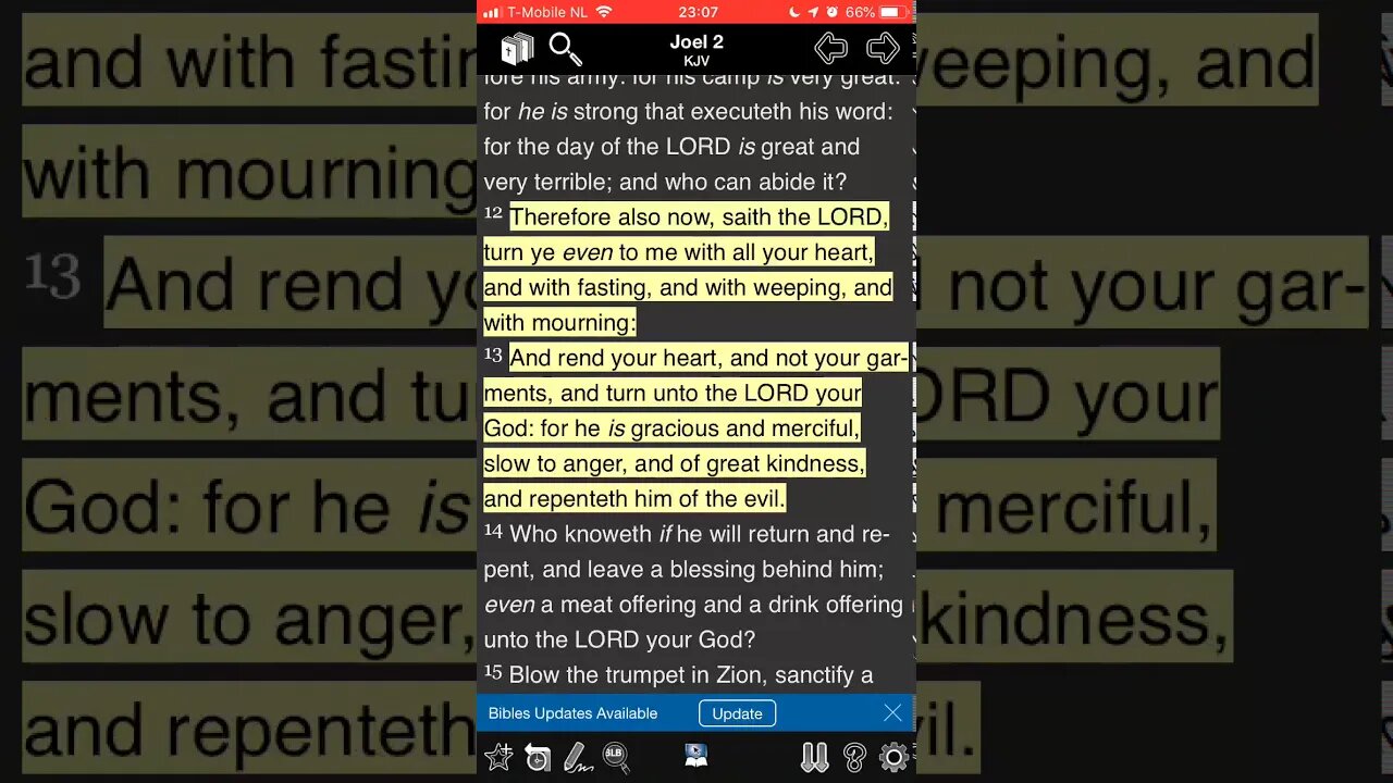 The Hebrew prophets wore sackcloth and not beautiful garments.