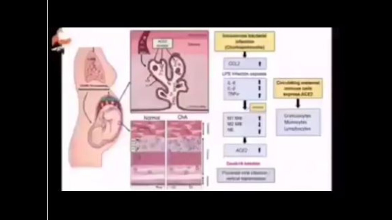 La vidéo à ne pas rater