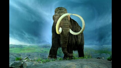 Elephant Extravaganza: 10-Second Fascinating Facts