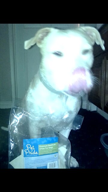 amuse-bouche 🧡💛💚