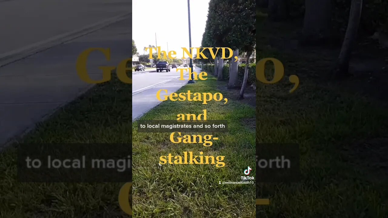 Gang-stalking in Action : The TikTok Edition on YouTube The NKVD : The Gestapo :