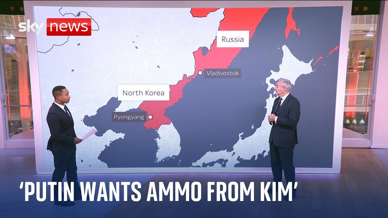 Ukraine War: Which weapons could North Korea sell to Russia?