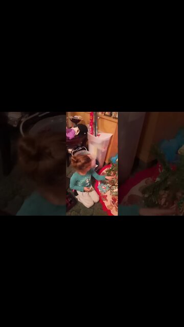 Decorating the Christmas Tree. Merry Christmas Everybody!