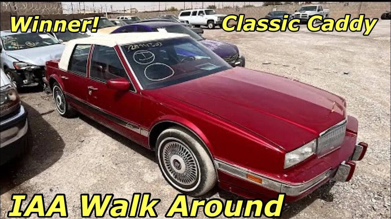 Tesla For Cheap, i8 BMW, Cadillac Classic Winner! IAA Walk Around