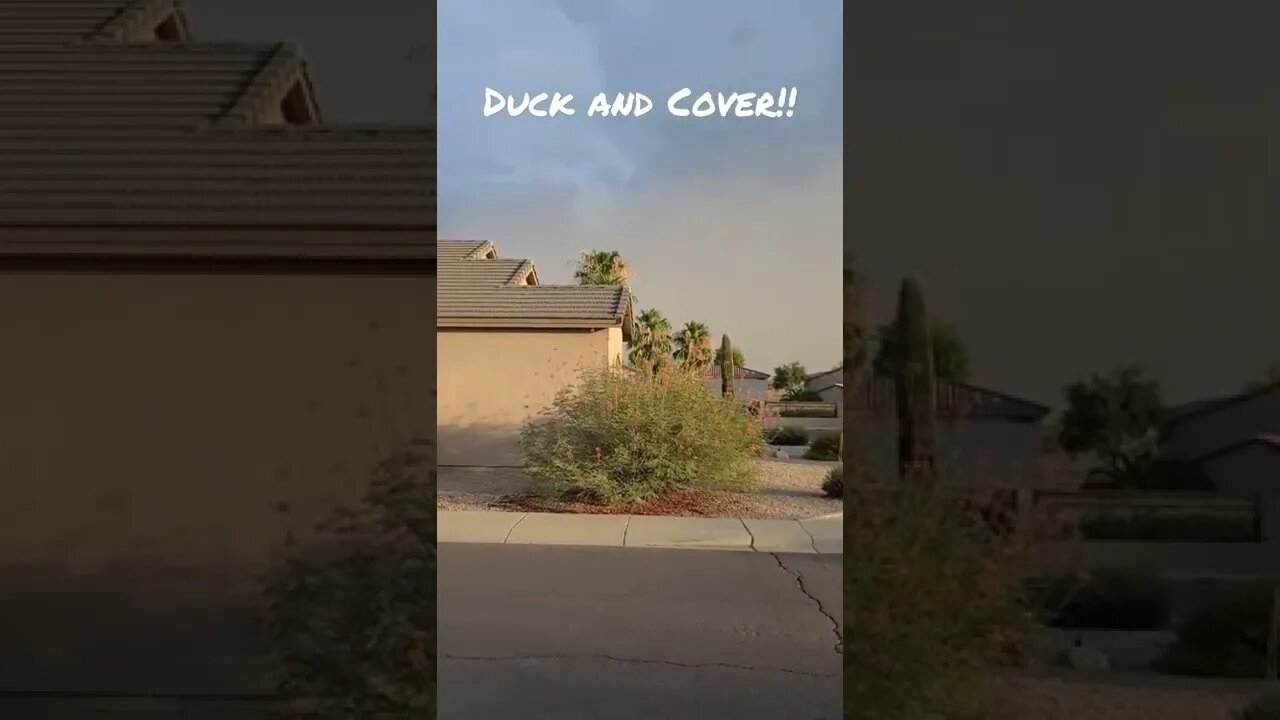 DUST STORM!!!