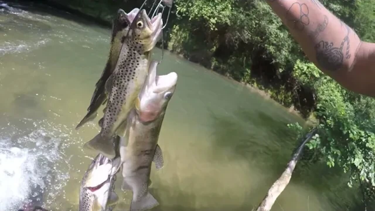 Trout haul with the missus '21