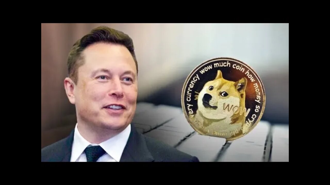 Elon Musk Is Going To Take Dogecoin To The Next Level (Final Stand Show)