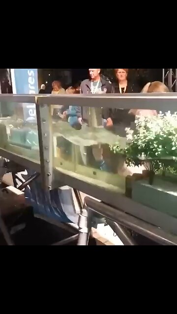 As árvores podem absorver frequências?