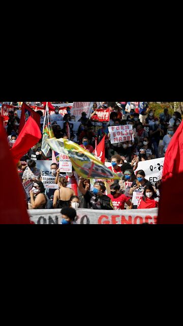 Freedom Rally, Pro-Bolsonaro Protests in Brazil