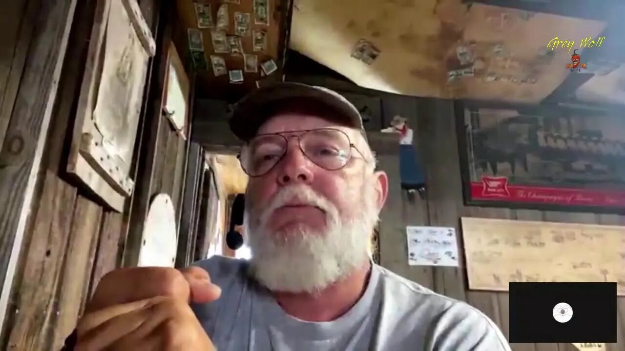 Grey Wolf Walks America Day 14 update