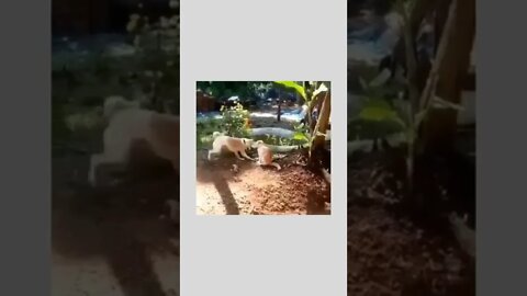 Wait & watch... 😂😂