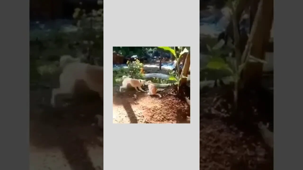 Wait & watch... 😂😂