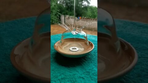 Water reaction video