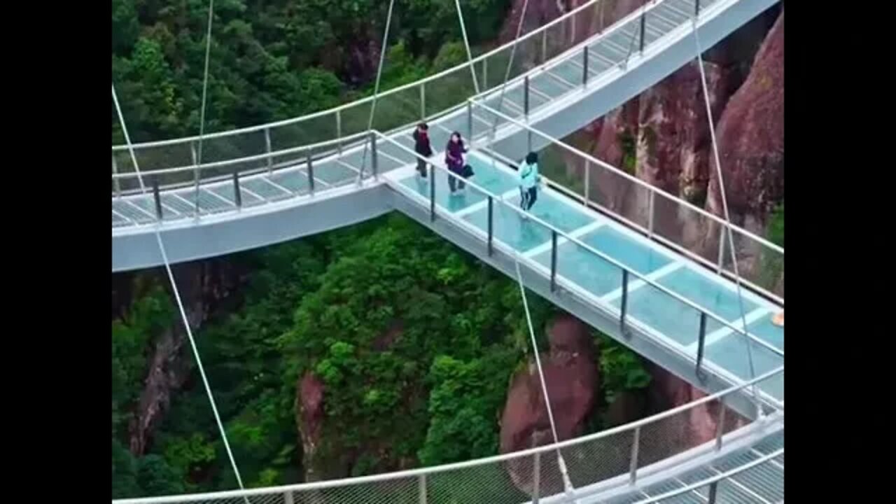 It takes some guts to walk across this bridge. tiktok gigadgetsofficial