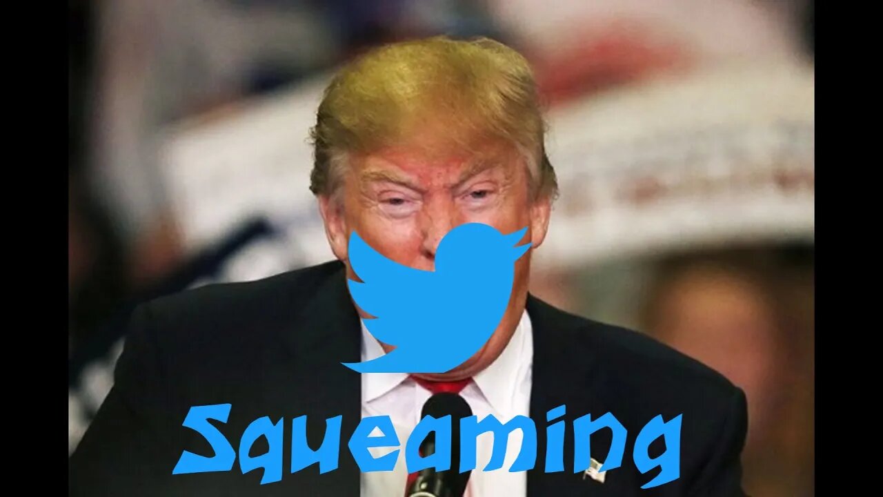 Squeaming (2020 Presidential Election Discussion)