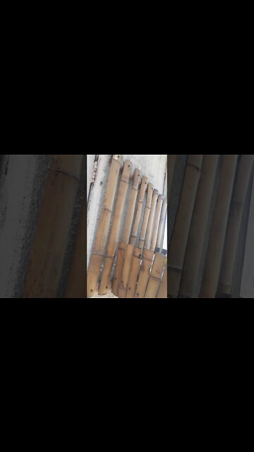 lixeira para parede de bambu #shorts