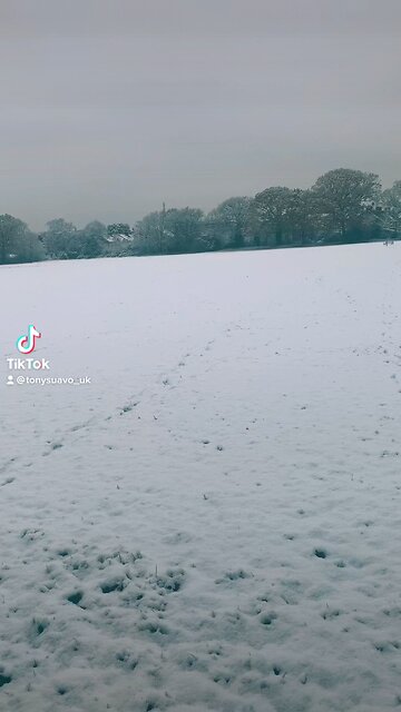 #christmas #snow #scenery