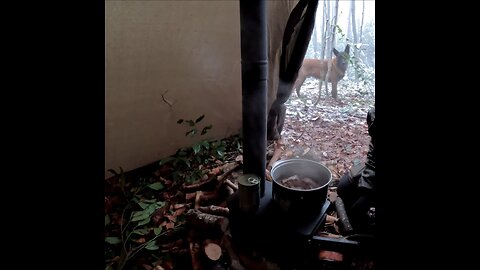 Winter Snowstorm Camping With My Dog