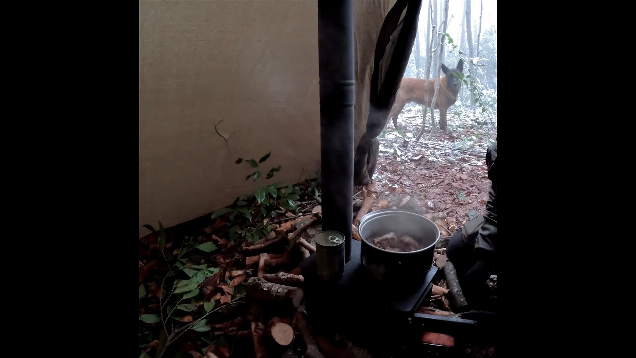 Winter Snowstorm Camping With My Dog