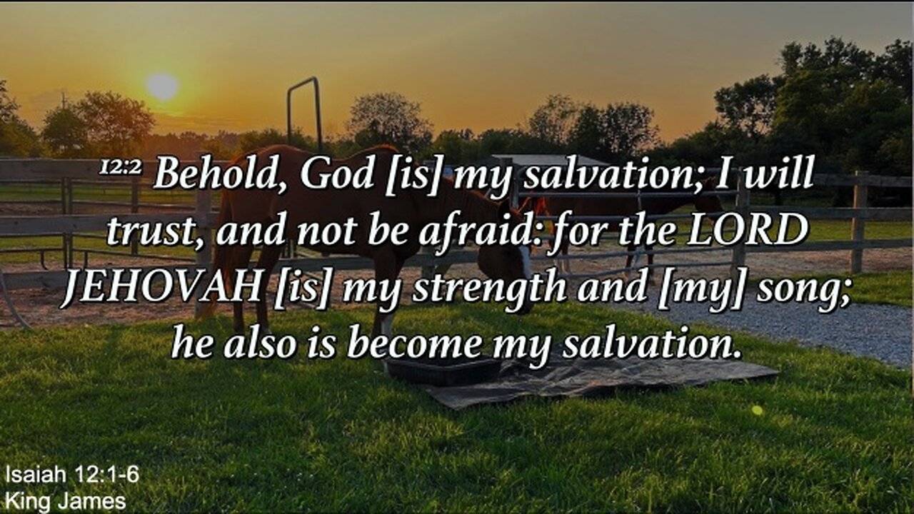 Wednesday Evening July 10th - God Is My Salvation