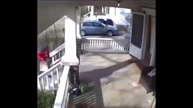When your guard dog is too good