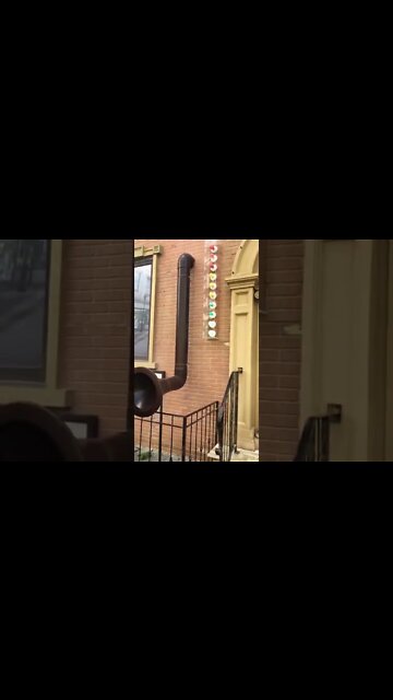 #shorts #2022 funny,prank,funjokes,dad jokes,funny memes,funny video,fun,laughing,funny animal,knock