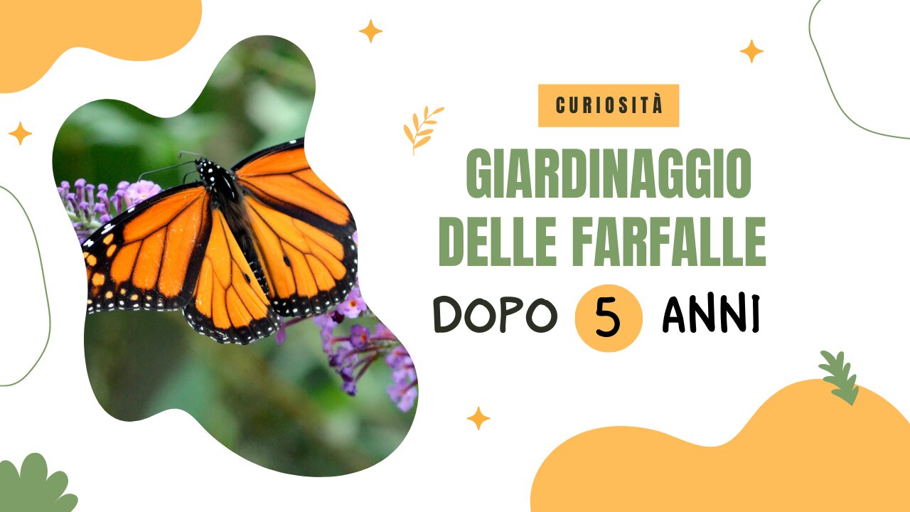 Informazioni poco note sul giardinaggio delle farfalle - dopo 5 anni