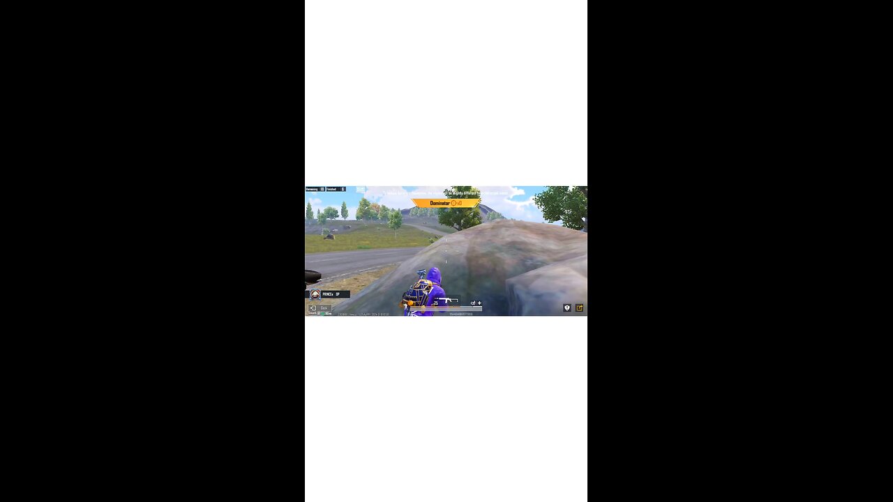 mini 14 tabs