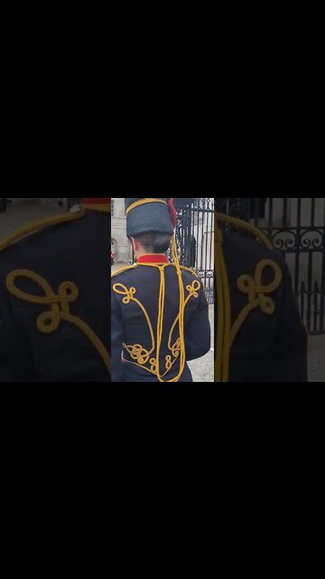 She marches right up to the kid #horseguardsparade