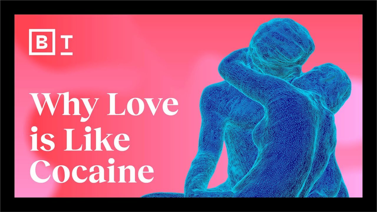 The science of sex, love, attraction, and obsession | Big Think