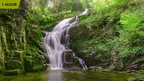 Waterfalls in a Wild Nature | Nature Relaxation | White Noise Waterfalls