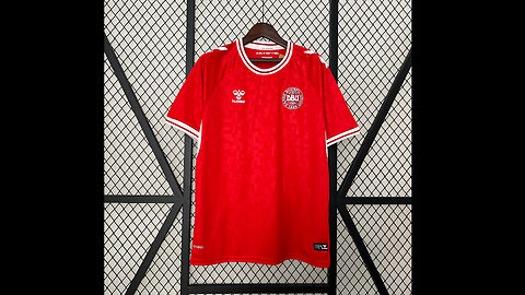 👉🏻⚽️2024 Denmark Home Adult Jersey