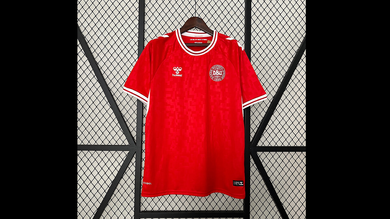 👉🏻⚽️2024 Denmark Home Adult Jersey