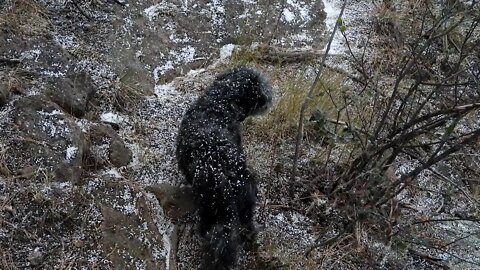 Winter Arrives in New Mexico