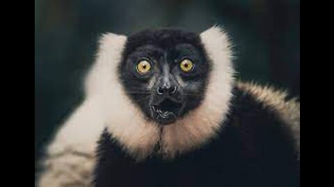 Mother WEFfers Hate You,