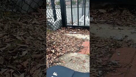 Y'all probably can't hear the #noisecampaign